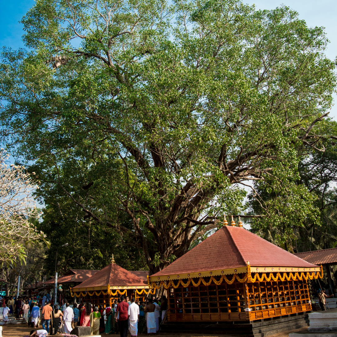 kannur-img-1