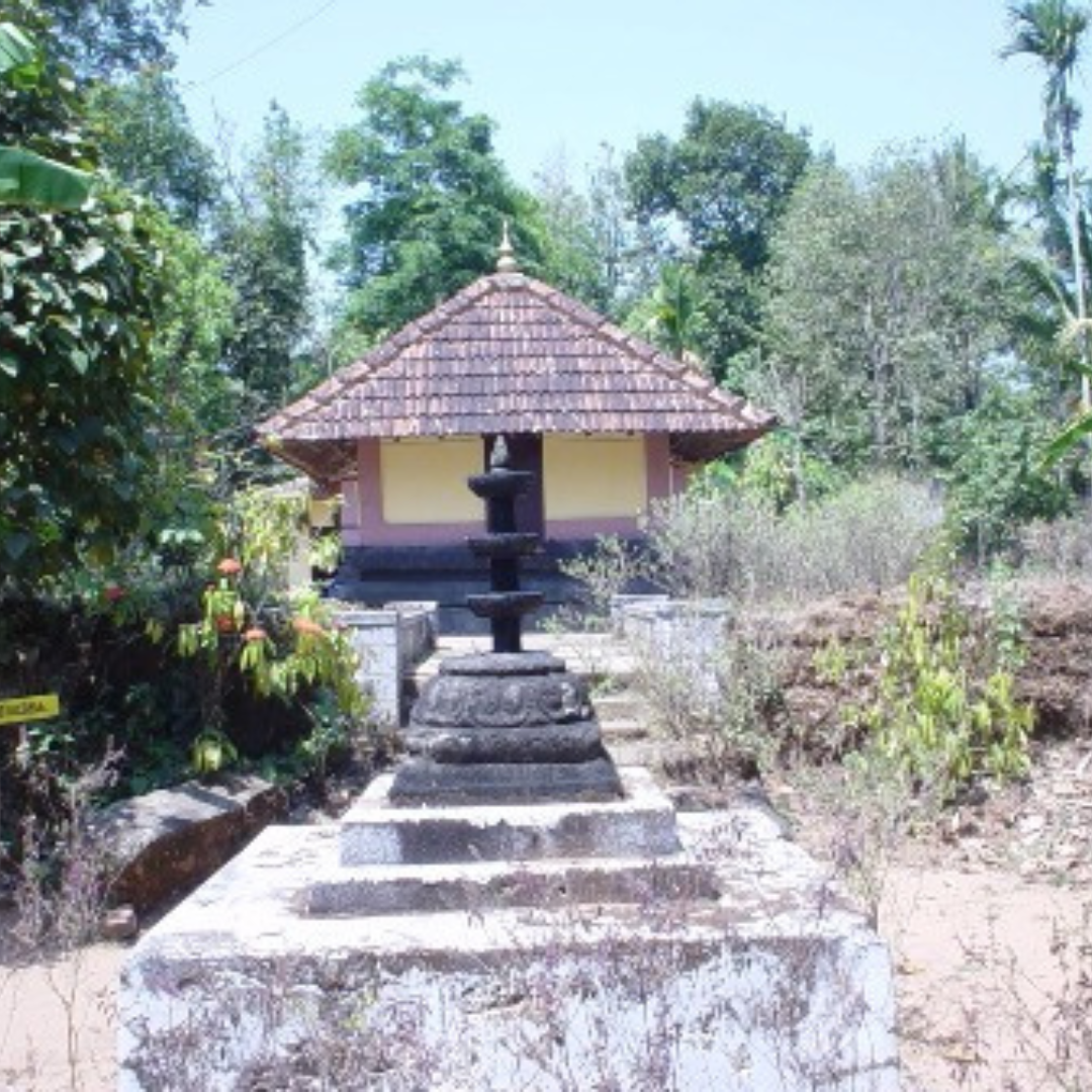 wayanad-img-1