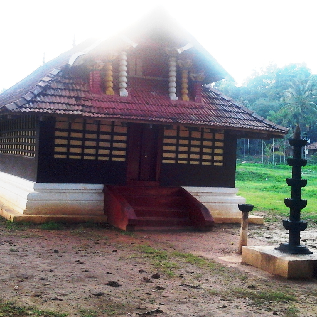 wayanad-img-4