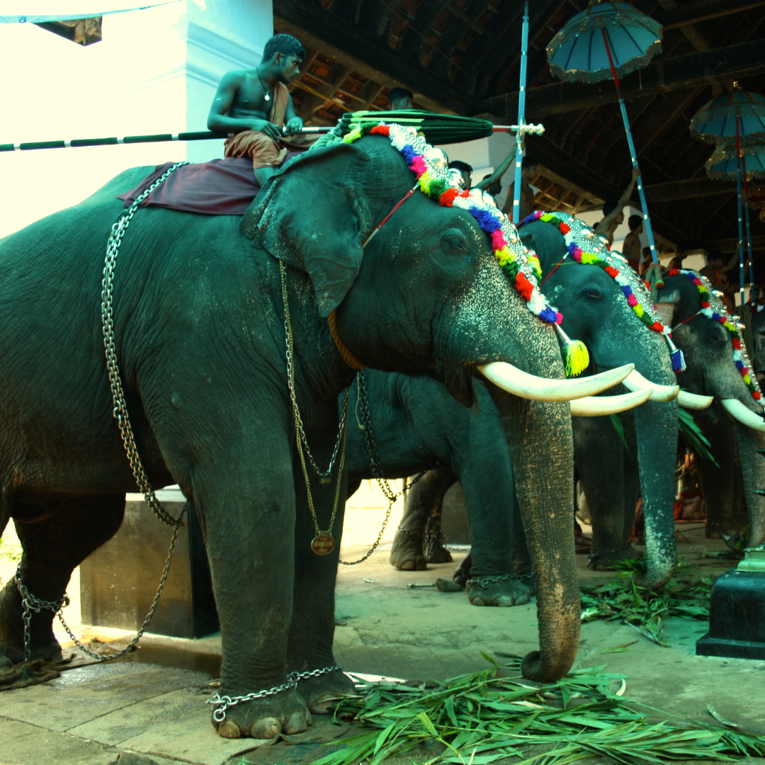 thrissur-img-5