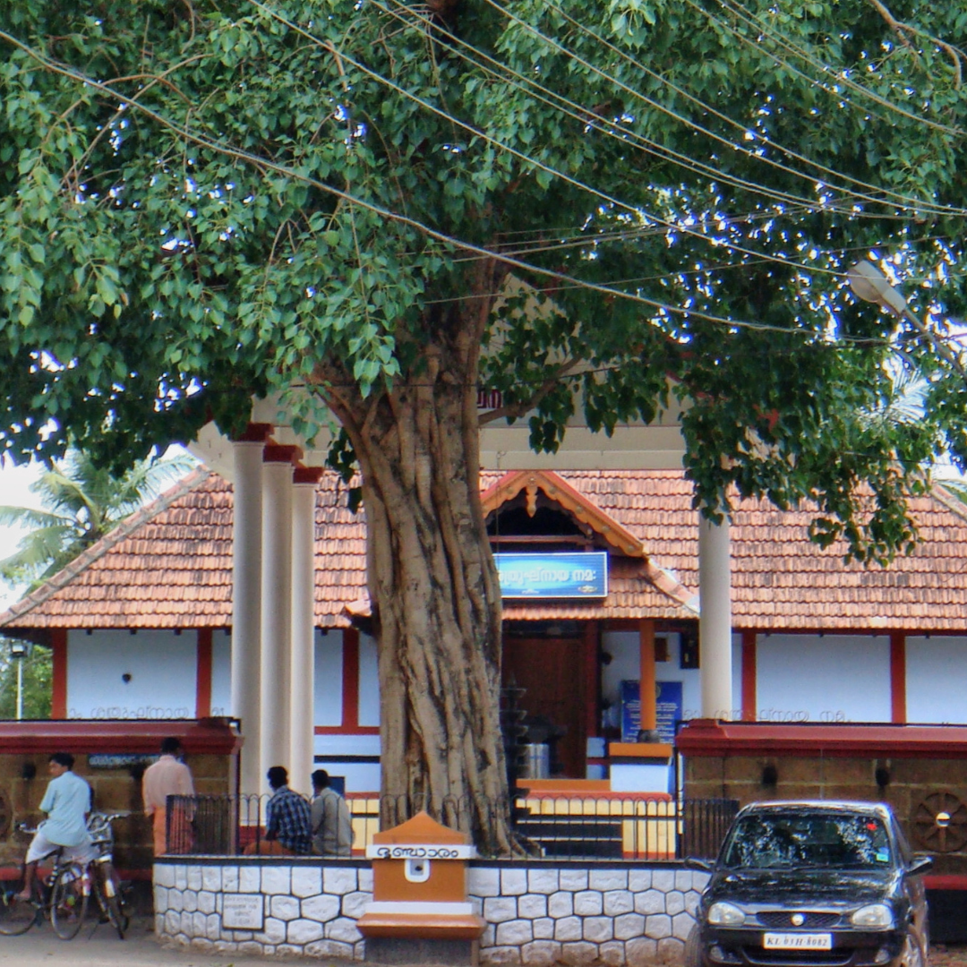 thrissur-img-5